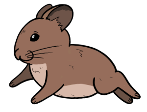 A happy pika, mid-hop